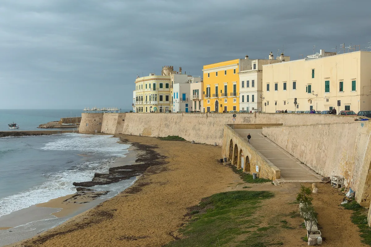 Dove Mangiare a Gallipoli: Un Viaggio nella Tradizione Gastronomica Salentina