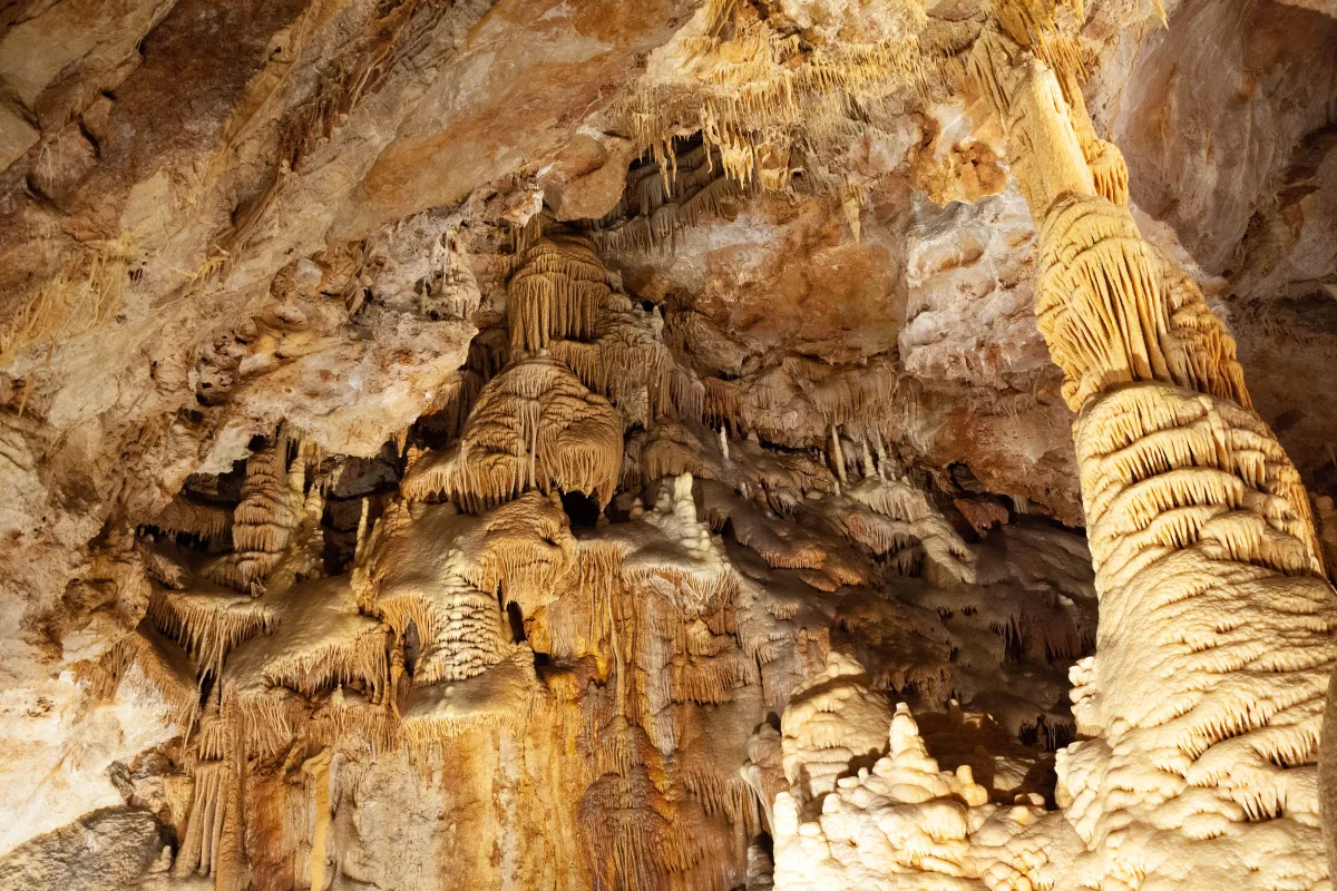 Feste ed Eventi a Castellana Grotte: Un Viaggio tra Tradizioni e Cultura