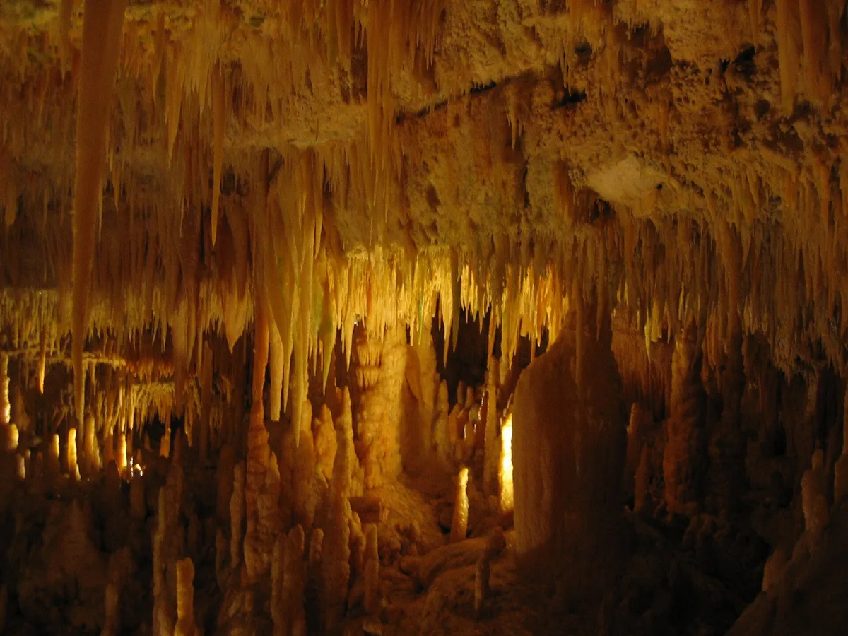 Scoprire Castellana Grotte: Musei, Parchi e Gite Fuori Porta