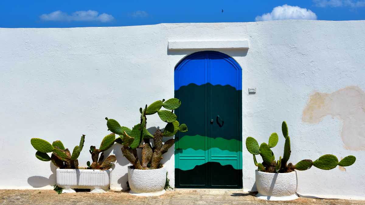 Feste ed Eventi a Ostuni: La Città Bianca in Festa!