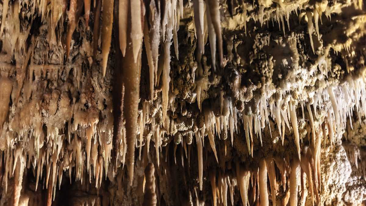 Scoprire Castellana Grotte con i Bambini: Avventure in Famiglia nella Puglia Incontaminata