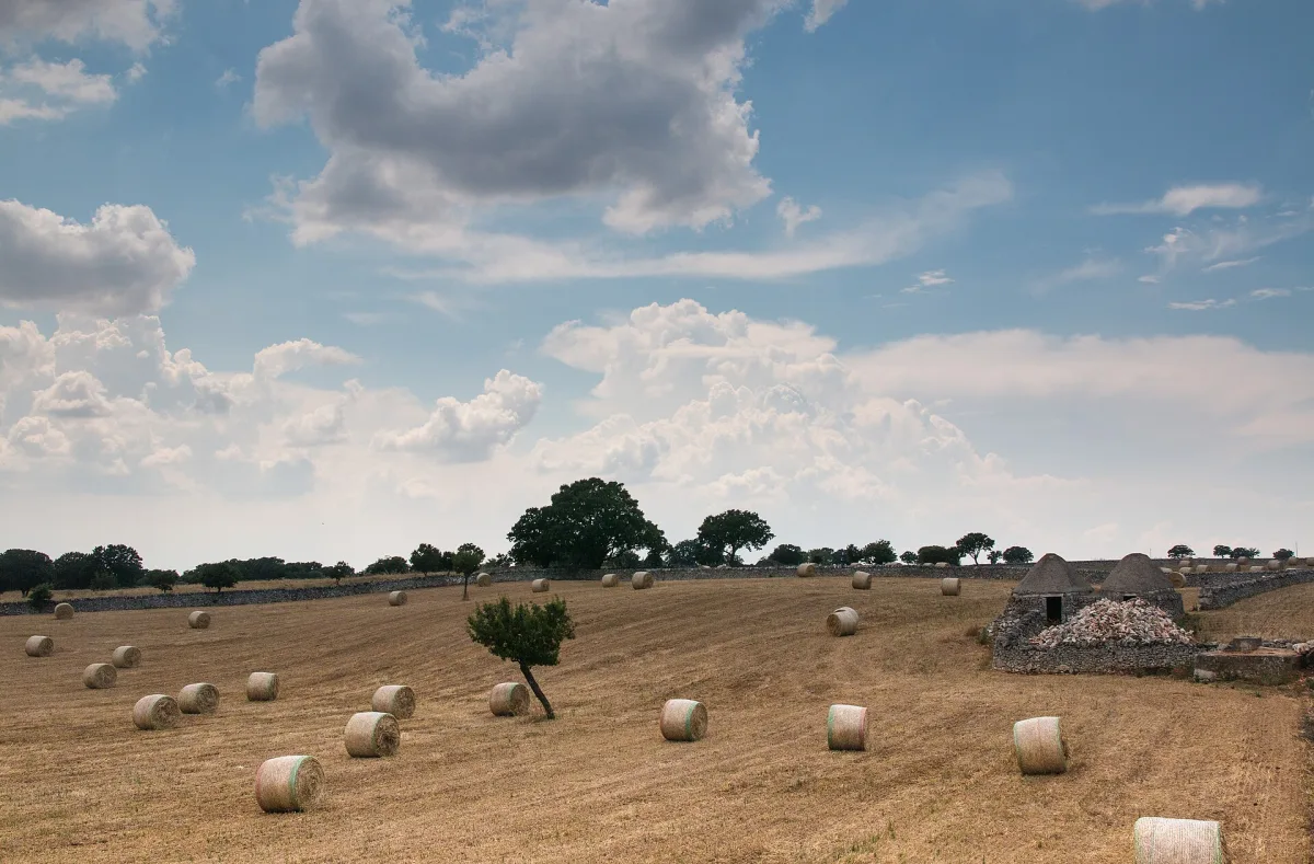 Valle d’Itria Guitar Festival Martina Franca 2026: date e programma
