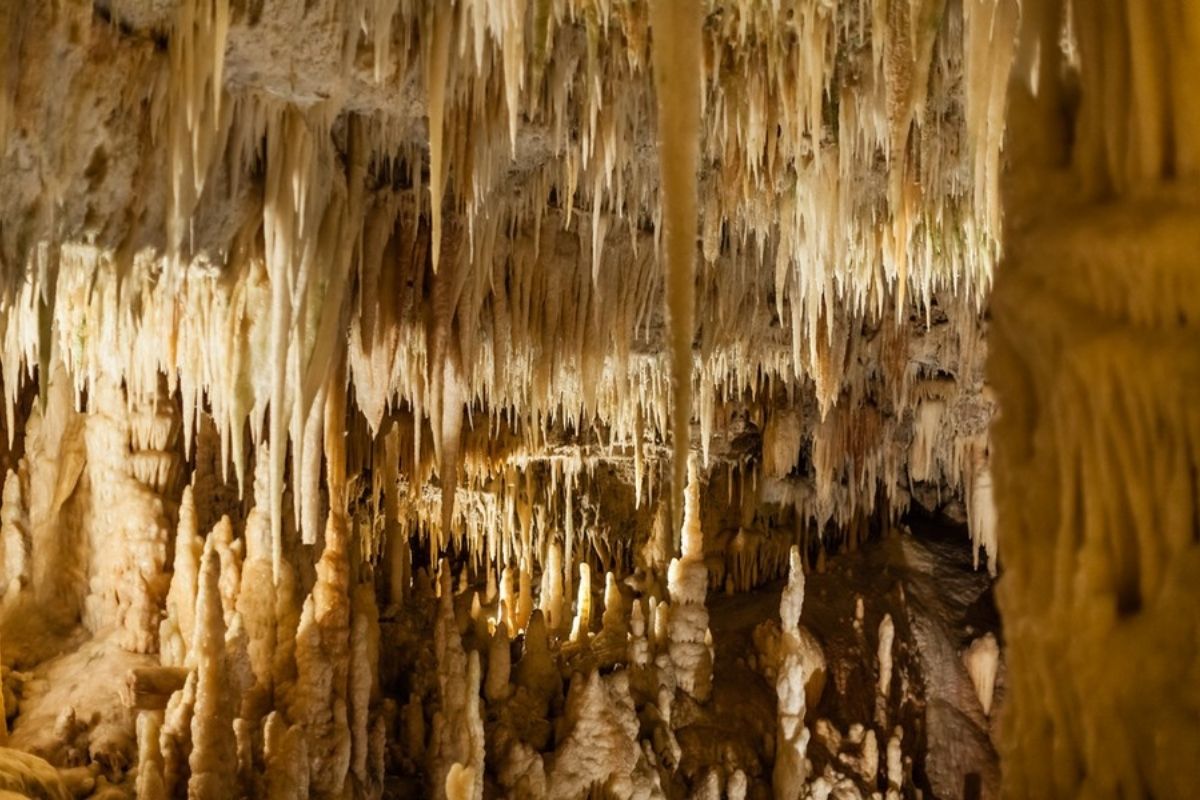 Vista interna della Grotta Bianca, evidenziando le formazioni di calcite e l'atmosfera magica.