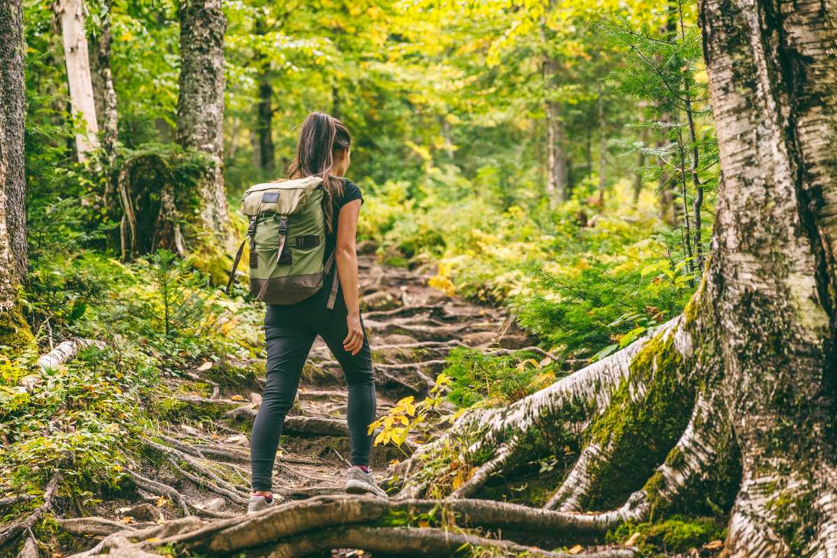 Escursionisti in trekking nei dintorni di Bari, rappresentando la bellezza naturale della regione.